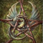 dragonpentacle
