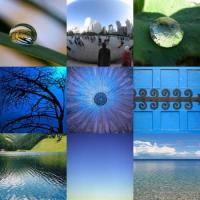 reflection_blue_tree_19449_l